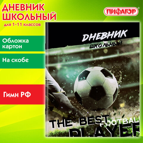Дневник 1-11 класс 40 л., на скобе, ПИФАГОР, обложка картон, Футбол, 106817