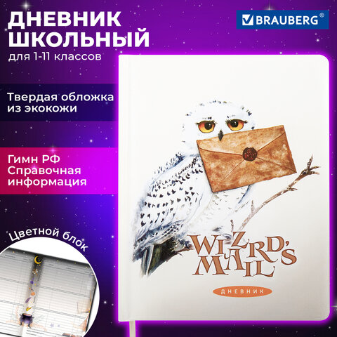 Дневник 1-11 класс 48 л., кожзам твердая с поролоном, печать, цветной блок, BRAUBERG, Сова, 106952