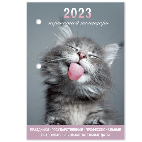 Календарь настольный перекидной 2023 г., 160 л., блок офсет, цветной, 2 краски, STAFF, MEOW, 114291