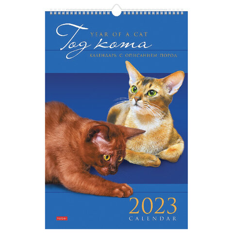 Календарь на гребне с ригелем, 2023 г., 30х45 см, ЛЮКС, Кот, HATBER, 12Кнп3гр_28018