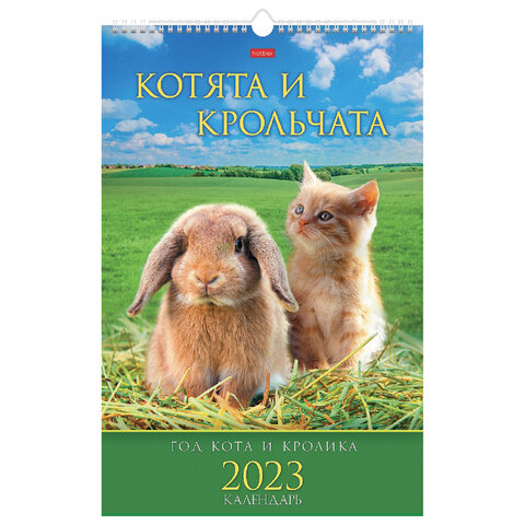 Календарь на гребне с ригелем, 2023 г., 30х45 см, ЛЮКС, Котята и крольчата, HATBER, 12Кнп3гр_27121