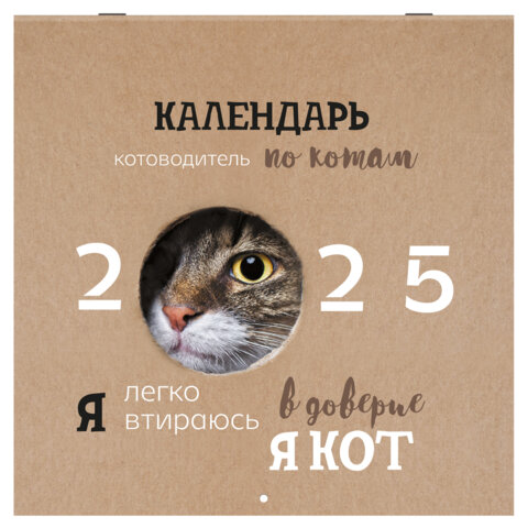 Календарь настенный перекидной на 2025 г., BRAUBERG, 12 листов, 29х29 см, Смешные котики, 116165