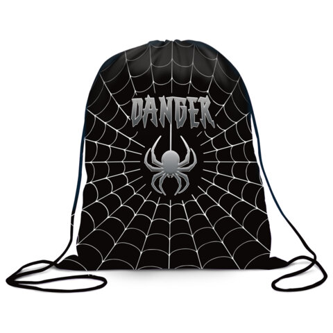 Мешок для обуви BRAUBERG, с петлёй, карман на молнии, полиэстер, 47х37 см, Dangerous spider, 270911
