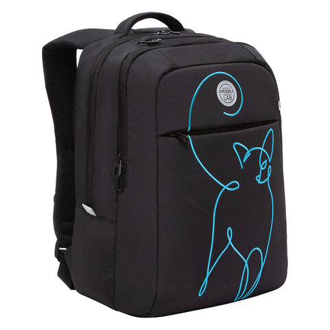 Рюкзак GRIZZLY школьный, анатомическая спинка, 2 отделения, для девочек, NEON CAT, 40х28х16 см, RD-244-3/1
