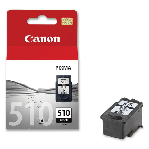 Картридж струйный CANON PG-510 Pixma MP240/MP260/MP480, черный, оригинальный, ресурс 220 страниц, 2970B007