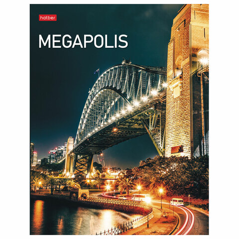 Тетрадь на кольцах А5 170х220 мм, 240 л., картонная обложка, клетка, HATBER, Megapolis, 240ТК5В1, 240ТК5В1_23148