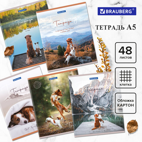 Тетрадь А5 48 л. BRAUBERG скоба, клетка, обложка картон, Best Friends (микс в спайке), 404360