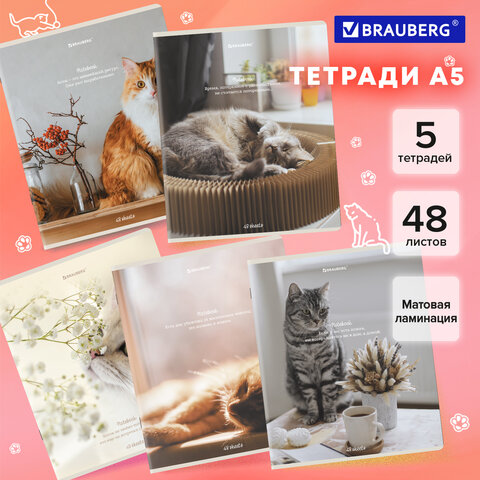 Тетради ДЭК А5 48 л. КОМПЛЕКТ 5 шт. BRAUBERG, клетка, матовая ламинация, Cats, 404673