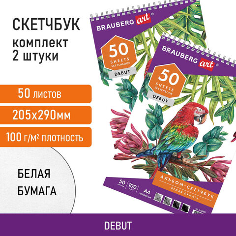 Скетчбук-блокнот для рисования белая бумага 100 г/м2, 205х290 мм, 50 л., КОМПЛЕКТ 2 шт., BRAUBERG, 880274